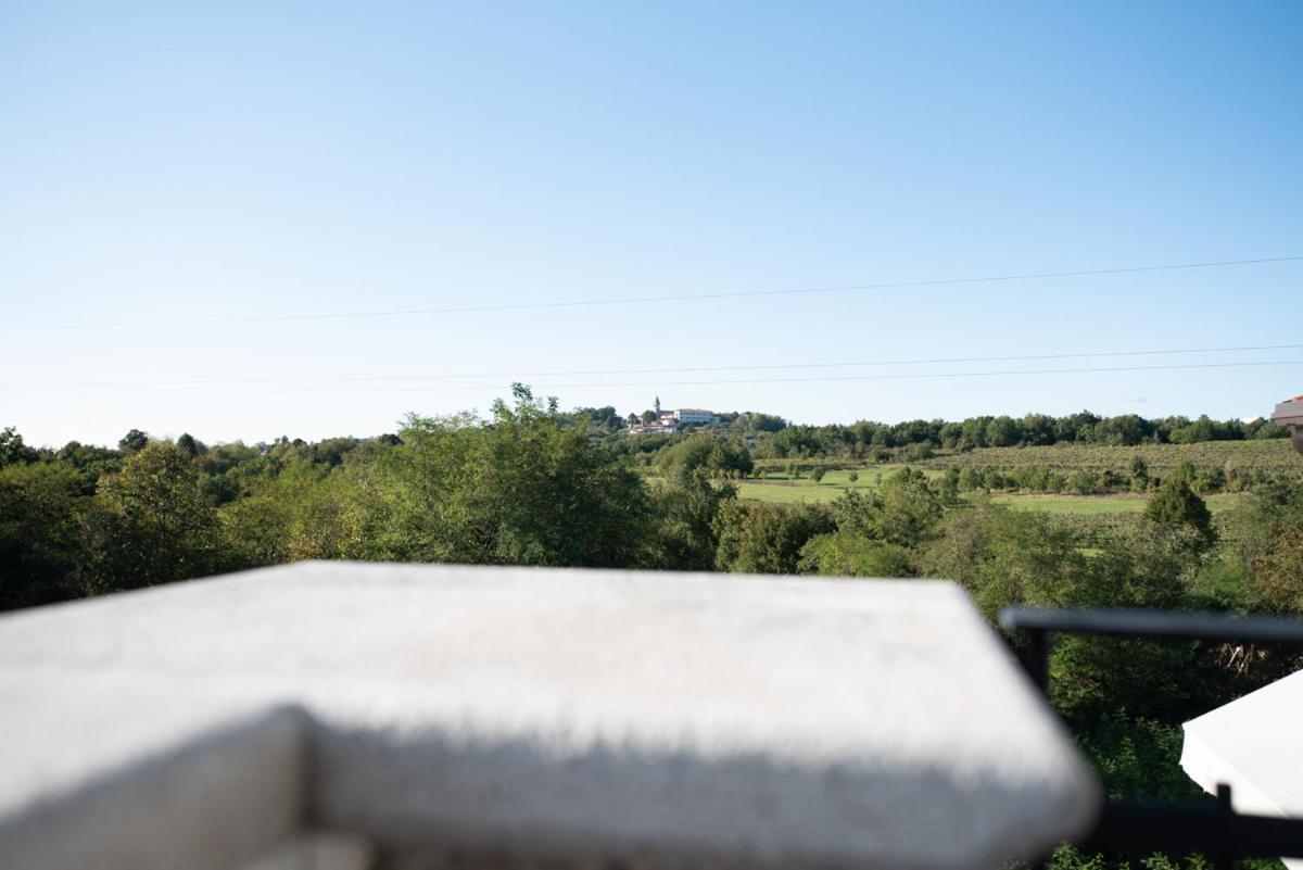 Castle House Rooms, Swimming Pool & Sauna & Tennis Court & Wine Cellar Sežana Εξωτερικό φωτογραφία