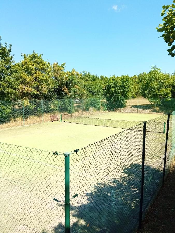 Castle House Rooms, Swimming Pool & Sauna & Tennis Court & Wine Cellar Sežana Εξωτερικό φωτογραφία
